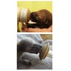 The MIRACLE NIPPLE - Small Puppy - Nursing Nipple for