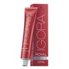 Schwarzkopf Igora Royal Metallics 7-17 mittelblond cendre kupfer 60 ml Professional Haarfarbe by Schwarzkopf