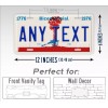 SignsAndTagsOnline.com Custom 1976-1979 South Carolina Bicentennial ANY TEX License Plate
