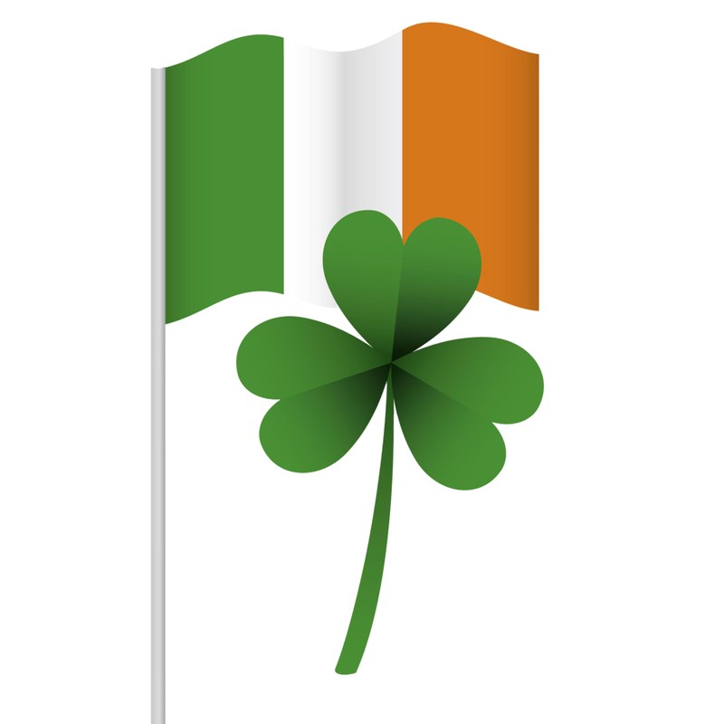 Lizzy 5pc Ireland Hand Flag (30cm x 19.5cm) with Reusable