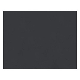Peacock 6-Ply Railroad Board, 22"X28", Black, 25 Sheets