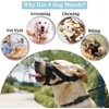Voarge Dog Muzzle, Nylon Soft Dog Muzzle, Prevent Biting Barking,