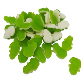 Fruit Gum Green Frogs with White Foam Sugar Base 300g