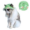 BT Bear Dog Hat, Dog Bucket Hats Breathable Round Cap