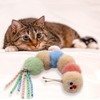 Jumpaws Interactive Natural Catnip Kicker, with Rattle and Ribbon, Bite