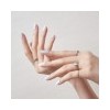 Self Gel Nail Sticker-Plum Candy / 셀프 젤 네일 스티커-플럼캔디