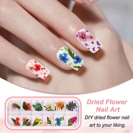 KASESSS 12 Stile Trockenblumen für Nail Art Set, 3D Nailart Getrocknete Blüten, Mehrfarbige Nageldesign Gepresste Blumen Natur Nagelsticker Trockenblumen Zum Basteln für DIY Nagel Scrapbooking