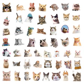 50Pcs Funny Cat Stickers Transparency PET Kitten Meme Decals for Cup Water Bottles Laptop Luggage Computer Mobile Phone Guitar Skateboard Decoration (Cat)
