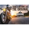 Original Bike Spirits Cleaner and Polish 14 oz 1039615 (Pack