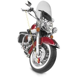 Bully Lock Disc Reminder 4in Lock - Yellow (132202)