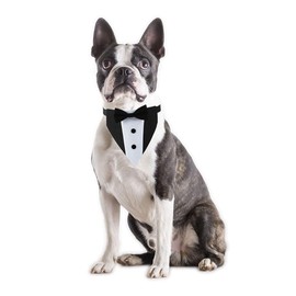 Dog Tuxedo for Small Dogs, Tux Suit Dog Wedding Outfit Bandana with Bow Tie Collars for Small Medium Large Pet Dogs, Black S