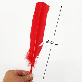 24Pcs Red Turkey Feathers with 10~12 inch,Long Feather for Crafts（26-31CM）,Bulk Big Size Bilateral Natural Feather,for Wedding Dress and Party Decoration,DIY Fabricating Handicraft Article (Red)
