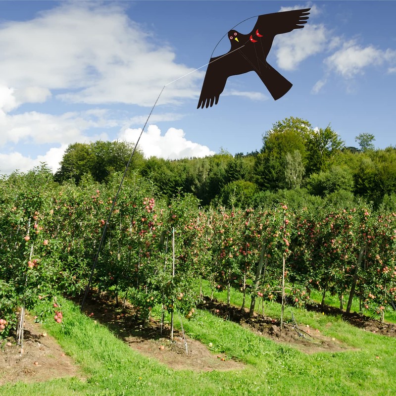 Flerigh Bird Hawk Flying Kite Without Pole for Crops Farm