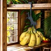 Cobata Solid Metal Banana Hanger-Keeps Bananas Fresh