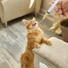 2 Syringe Young Birds Feeding Syringe, Hand Feeding Tool, with