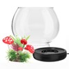 hygger 0.5 Gallon/1 Gallon Glass Fish Bowl with LED Light