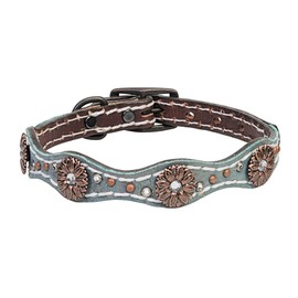 Weaver Leather Pet Savannah Dog Collar , Brown/Metallic Turquoise, 5/8 X 13-Inch