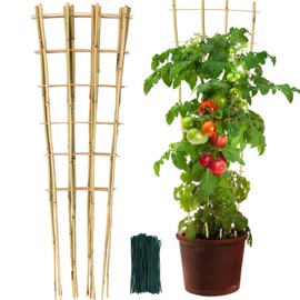 SWANGSA 6 Pack 4Ft Bamboo Trellis for Climbing Plants, Fan-Shaped Garden Ladder Trellis with 100pcs Twist Ties for Outdoor and Indoor Plant Support, Potted Plants, Cucumber, Tomato, Vine