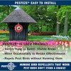 PESTEZE USA Bird Deterrent for Pool Predator Eye Balloon Repellent,