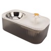 Cat Water Fountain Food Bowl High Capacity Quiet 2 In
