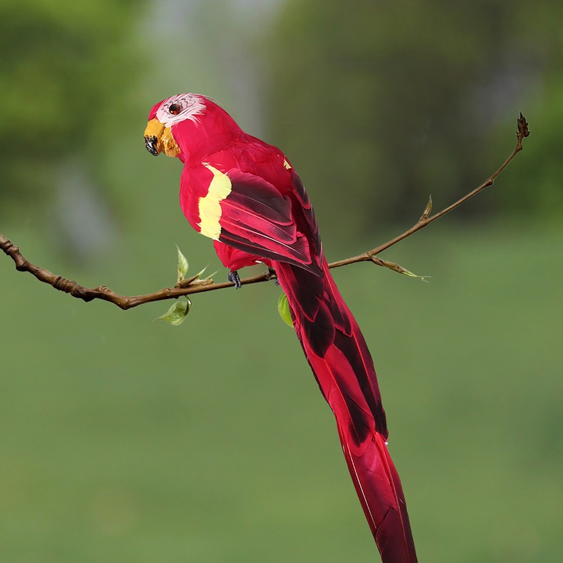 Simulation Feather Parrot Beautiful Artificial Bird Decor Party Garden Home