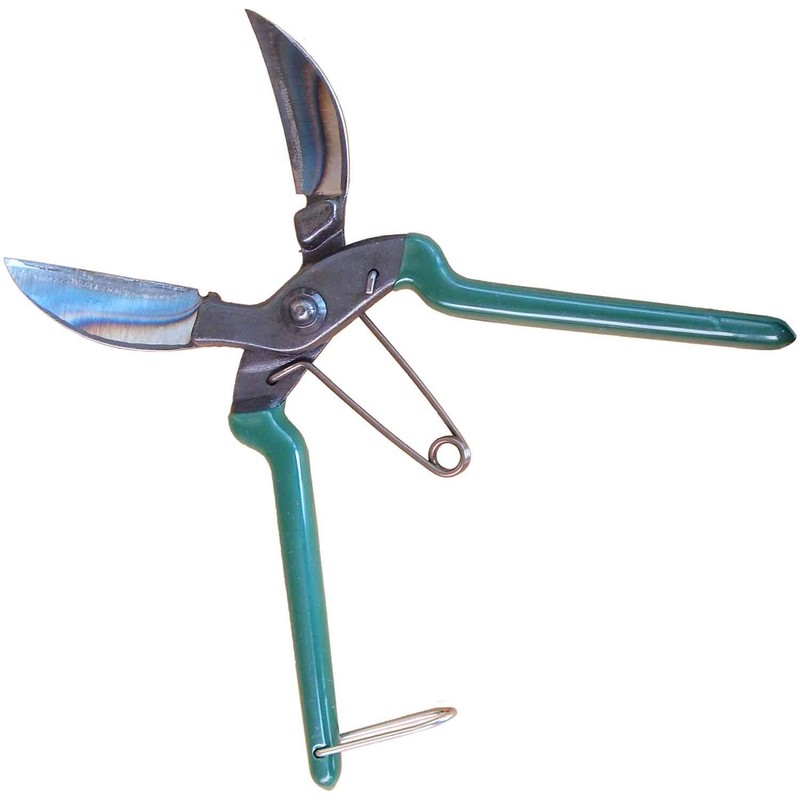Pumpkin Shaft Cutting Shears for Cutting Garlic Root (Green (for