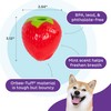 Outward Hound by Planet Dog Foodies Strawberry Treat-Dispensing Dog Chew