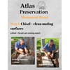 Atlas Preservation Small Light Gray Monument Repair Kit - Reset