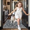 LUMI Indoor Door Mat for Entrance 26x46, Luxury Traditional Front
