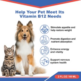 Netrca Appetite Stimulant for Dogs - Vitamin B12 (Methylcobalamin) Liquid Supplement - Boosts Appetite, Energy, and Mood - 60 ml