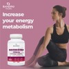 Bandini® Berberine 1000mg Pure high Dosage | 180 Vegan Capsules