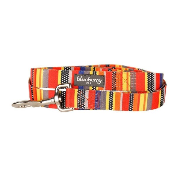 Blueberry Pet Essentials Durable Nautical Flags Inspired Designer Dog Leash