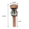 Akicon Copper Push Button Bathroom Sink Drain Stop & Pop