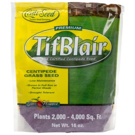 Patten Seed Company TifBlair Centipede Grass Seed 1 Lb Plants 2k - 4k Sq Ft For Sun or Partial Shade