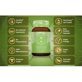True Veda Organic Amla Powder Capsules | Amla Powder Organic Vitamin C | Indian Gooseberry Natural Extract Whole Food Amalaki Supplement