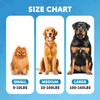 Double Dog Leash – Adjustable Length Long Leash for Dog