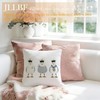 Nautical Seagull Pillow Cover 18x18 Double-Sided, Nautical Decor for Home,