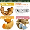 屋久島ウコン極（300粒）3袋セット