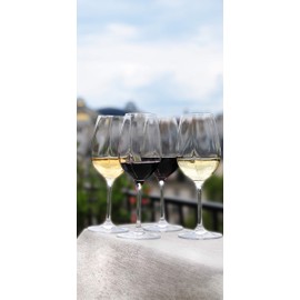 L'Atelier du VIN - Glass L'Exploreur Oenology - Technology Nervure des Arômes - Libère Toutes Les Saveurs - 4 Glasses