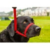 Gencon All-in-1 Headcollar and Lead Right-handed Black