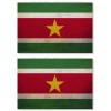 OwnTheAvenue 2Pcs Suriname Vintage Style Flags Sticker Decals 3.5" Inches