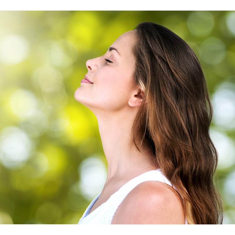 Cedar Bear Sinus Thyme a Liquid Herbal Supplement That Supports