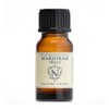 Marjoram Sweet 0.3 fl oz (10 ml), Essential Oil, Aroma,