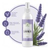 Tonico Facial De Lavanda Anti Acne (500ml)