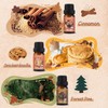 Autumn Fragrance Oils Set, AVEOIRA Fall Essential Oil Set for