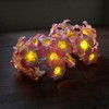 Lxcom Lighting LED Flower String Lights 19ft 40 LEDs Artificial