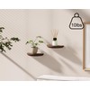 QsQueen Solid Wood Half Round Floating Wall Shelves | Elegant
