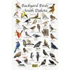 Where's Wildlife Backyard Birds of South Dakota Bird Identification Poster