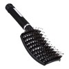 Salon Massage Bristle, Cepillo Static Wet Curly Detangle Brush Black