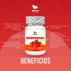 Berberina HCL 60 Cápsulas, Extracto 100% Puro, Reduce los Niveles